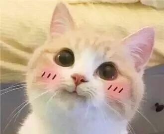 英语考试未通过