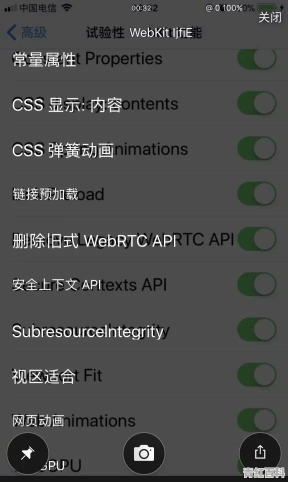 苹果手机浏览器设置里的实验性webkit功能是什么意思。开启这些选项什么用处