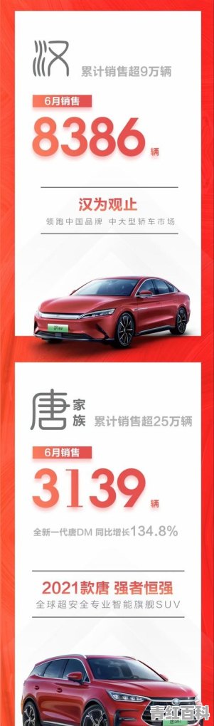 2020年6月比亚迪汽车销量