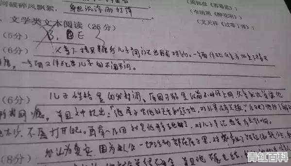 奶酪字体适合中考吗