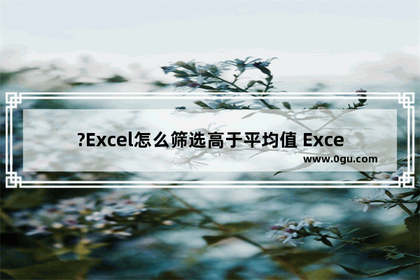 ?Excel怎么筛选高于平均值 Excel表格中快速筛选出高于平均值的数据的方法教程