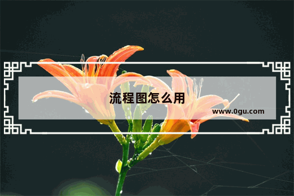 流程图怎么用