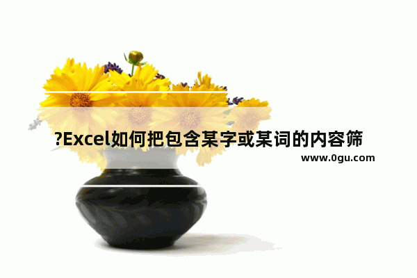 ?Excel如何把包含某字或某词的内容筛选出来 Excel表格快速筛选出包含某个字的方法教程