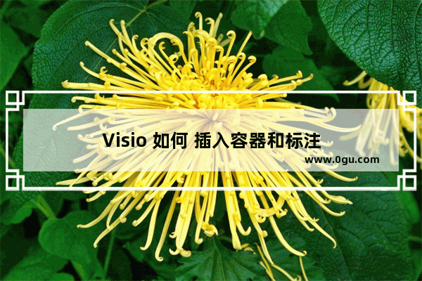 Visio 如何 插入容器和标注