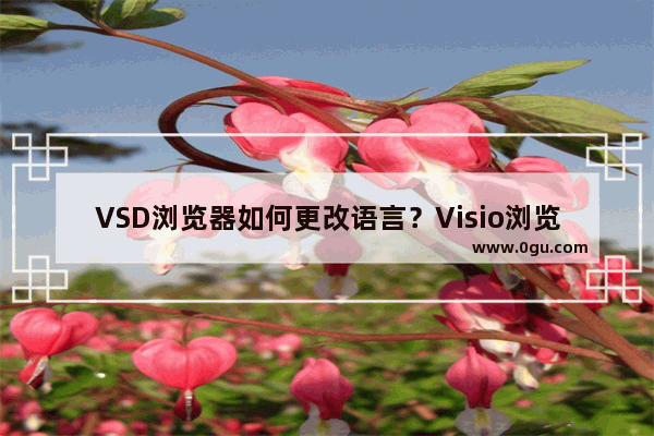 VSD浏览器如何更改语言？Visio浏览器更改语言的方法