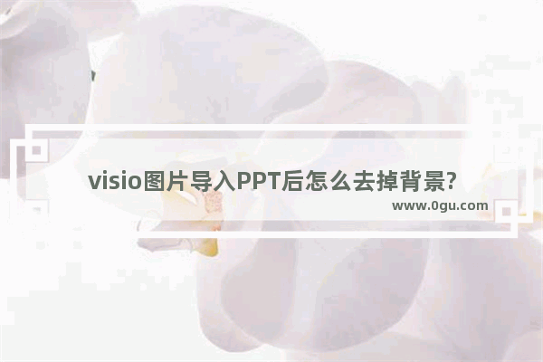 visio图片导入PPT后怎么去掉背景?