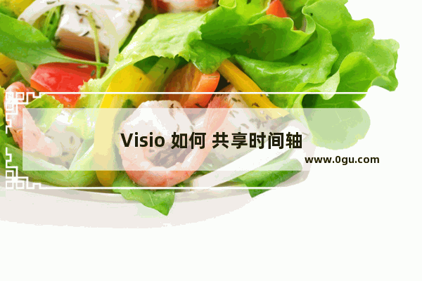 Visio 如何 共享时间轴