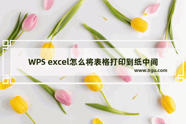 WPS excel怎么将表格打印到纸中间 将WPS Excel表格打印在纸张的正中的方法
