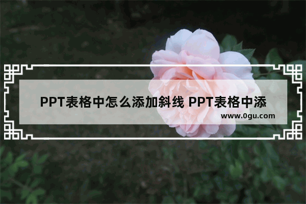 PPT表格中怎么添加斜线 PPT表格中添加斜线的方法