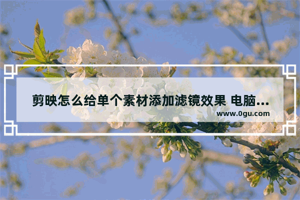 剪映怎么给单个素材添加滤镜效果 电脑版剪映将视频与滤镜融为一体的方法