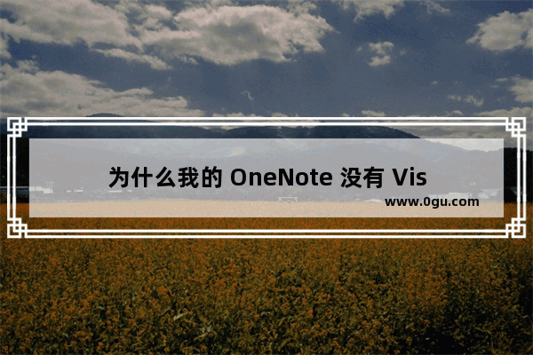 为什么我的 OneNote 没有 Visio 的“图表”功能项?