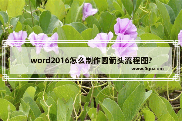word2016怎么制作圆箭头流程图?