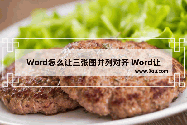 Word怎么让三张图并列对齐 Word让三张图并列对齐的方法