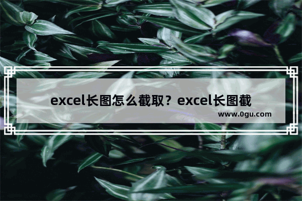 excel长图怎么截取？excel长图截取流程图文分享