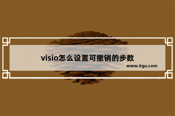 visio怎么设置可撤销的步数