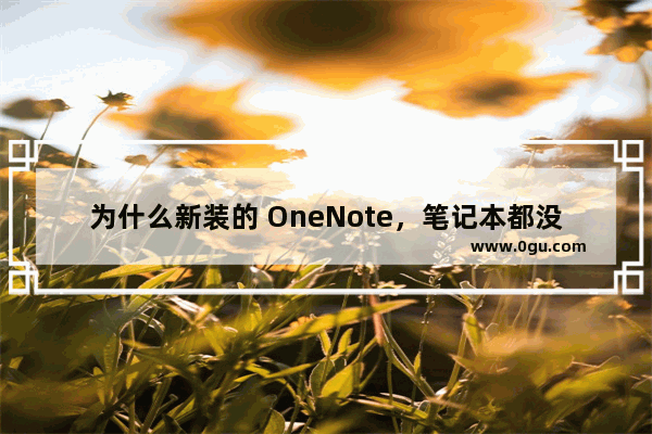 为什么新装的 OneNote，笔记本都没了？