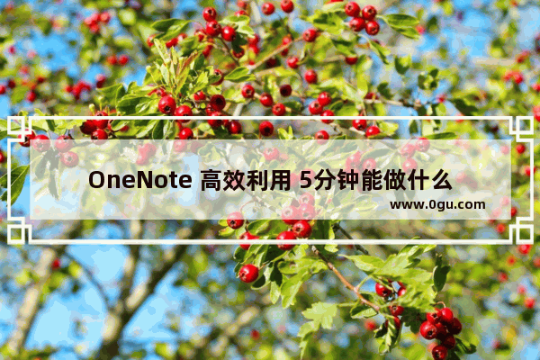 OneNote 高效利用 5分钟能做什么?
