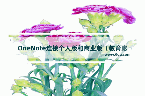 OneNote连接个人版和商业版（教育账户）的OneDrive的不同处