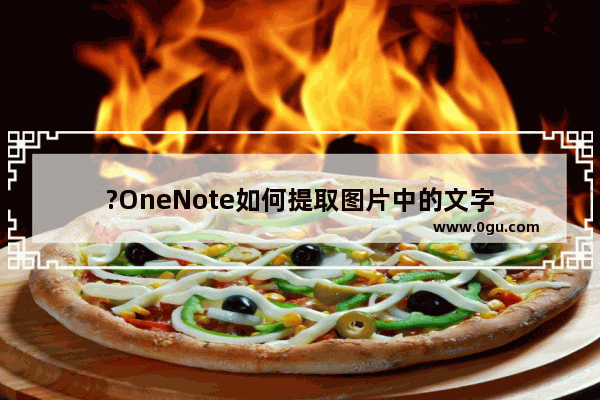 ?OneNote如何提取图片中的文字