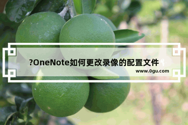 ?OneNote如何更改录像的配置文件