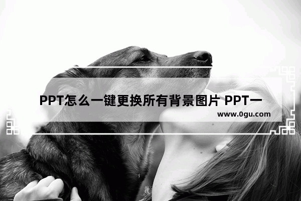 PPT怎么一键更换所有背景图片 PPT一键更换所有背景图片的方法