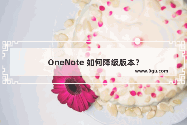 OneNote 如何降级版本？