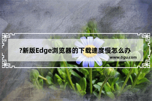?新版Edge浏览器的下载速度慢怎么办 Microsoft edge浏览器解决下载速度慢的方法教程