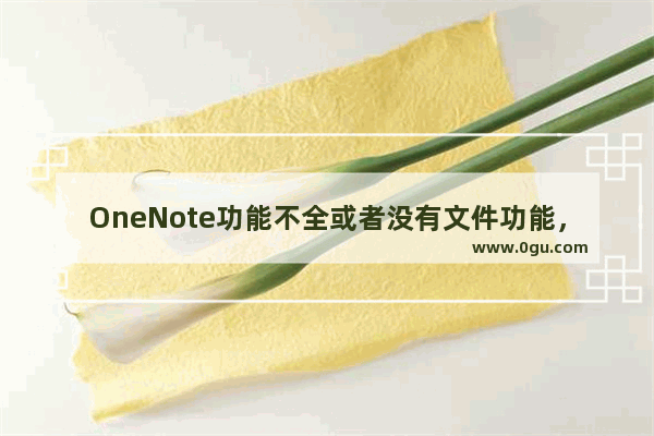 OneNote功能不全或者没有文件功能，如何解决？