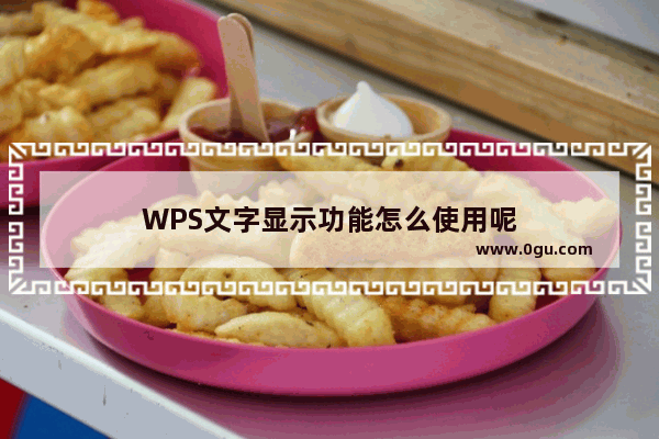 WPS文字显示功能怎么使用呢