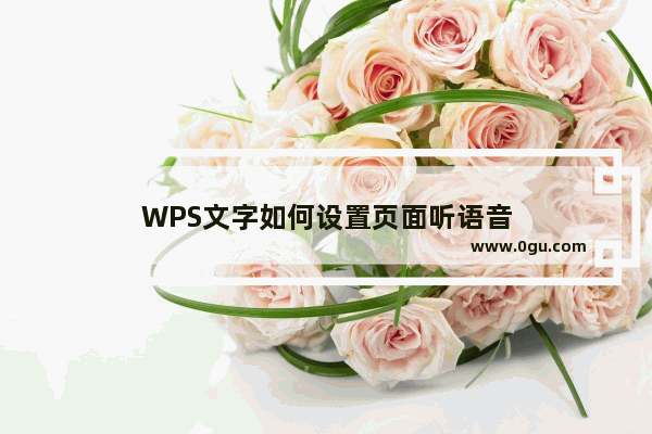 WPS文字如何设置页面听语音
