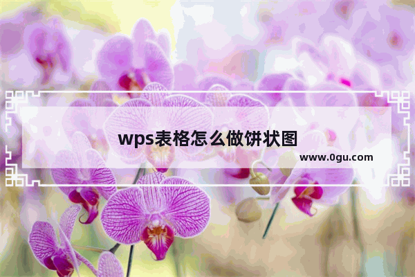 wps表格怎么做饼状图