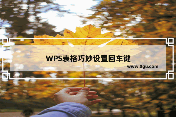 WPS表格巧妙设置回车键