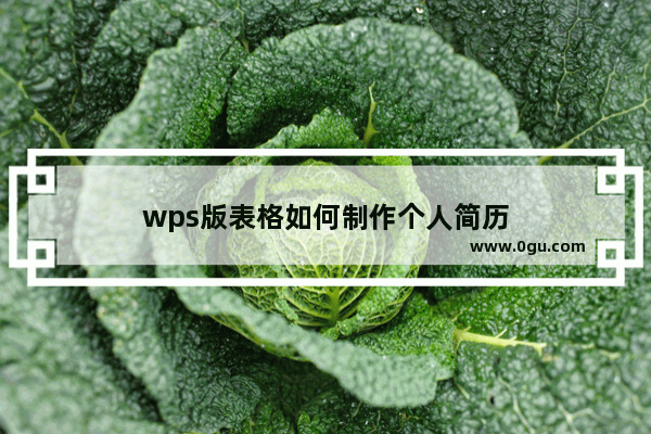 wps版表格如何制作个人简历
