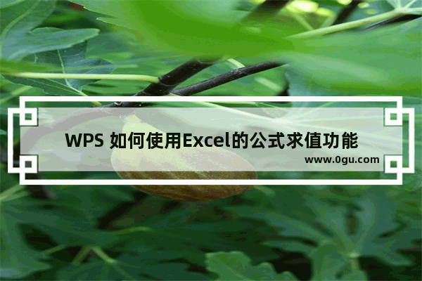 WPS 如何使用Excel的公式求值功能