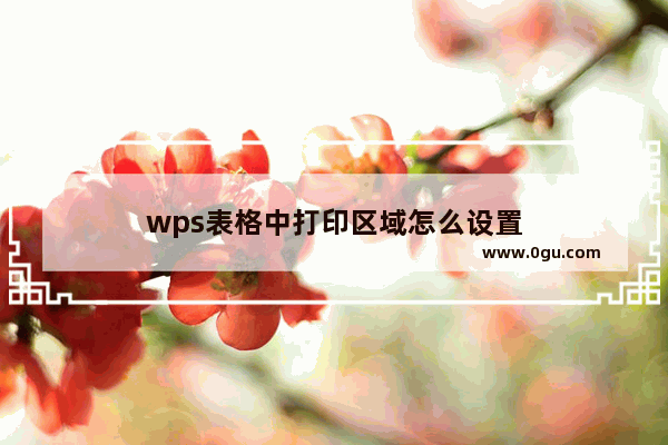 wps表格中打印区域怎么设置