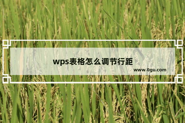 wps表格怎么调节行距