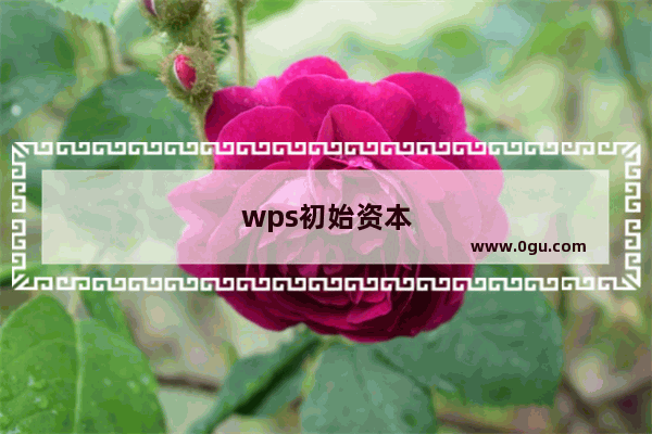 wps初始资本