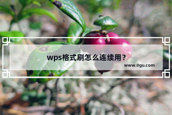 wps格式刷怎么连续用？