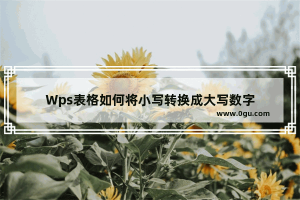 Wps表格如何将小写转换成大写数字