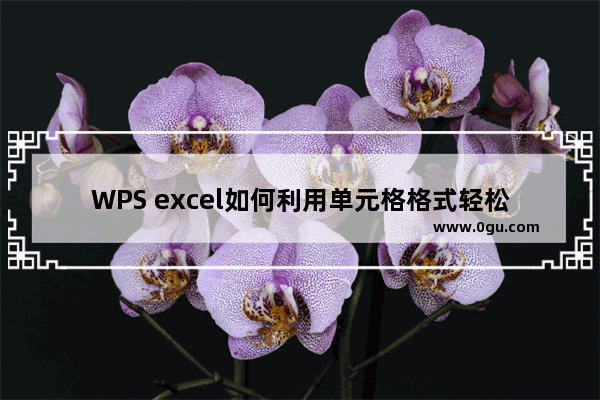 WPS excel如何利用单元格格式轻松对齐小数点