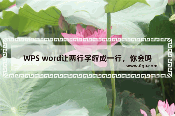 WPS word让两行字缩成一行，你会吗？