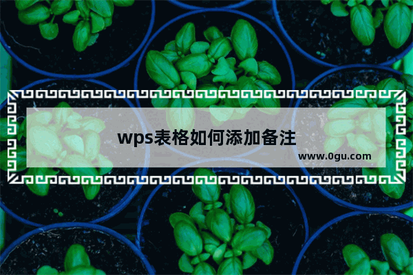 wps表格如何添加备注