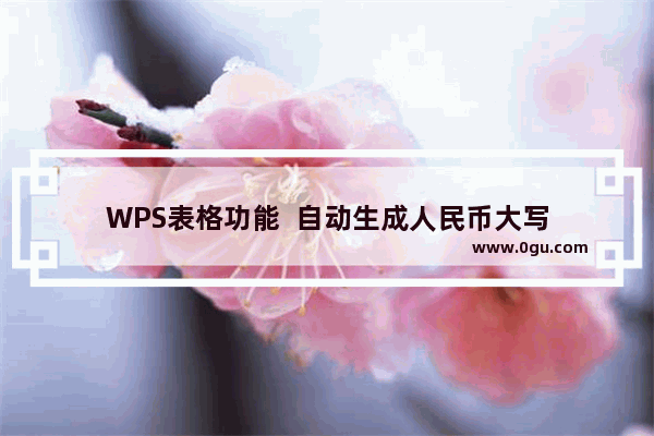 WPS表格功能  自动生成人民币大写