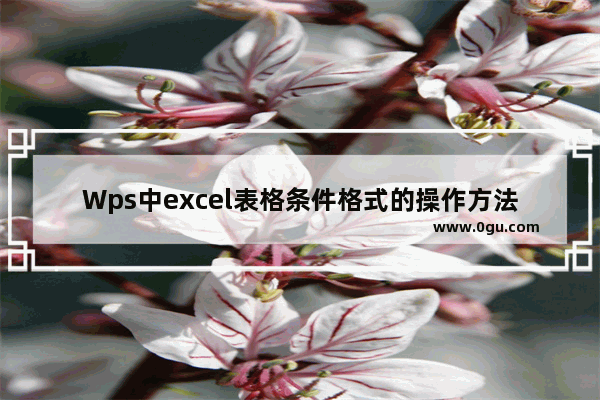 Wps中excel表格条件格式的操作方法