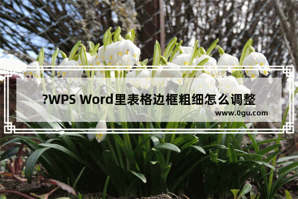 ?WPS Word里表格边框粗细怎么调整 WPS文档中设置表格边框线条粗细的方法教程