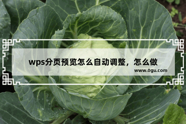 wps分页预览怎么自动调整，怎么做