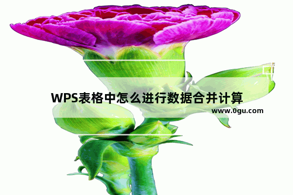 WPS表格中怎么进行数据合并计算