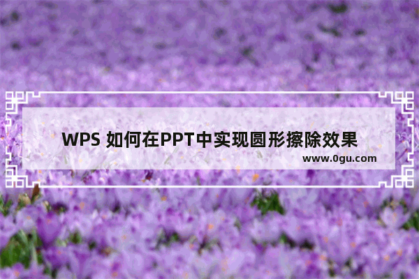 WPS 如何在PPT中实现圆形擦除效果