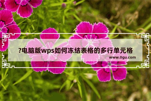 ?电脑版wps如何冻结表格的多行单元格