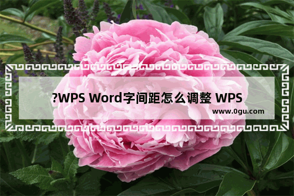 ?WPS Word字间距怎么调整 WPS文档解决字之间空隙很大的方法教程